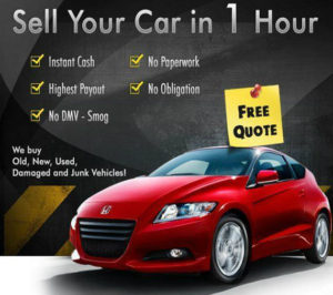 sell car for cash in Auckland